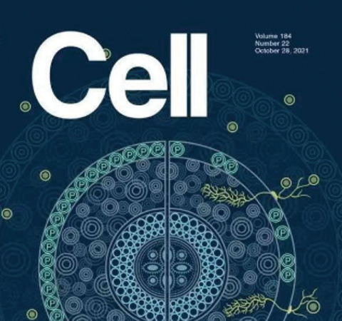 祝賀王二濤老師團隊又一佳作榮登Cell期刊！